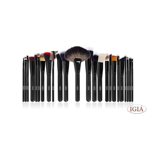 IGIA 24 PIECE MAKEUP BRUSH SET - IGIA NEW YORK