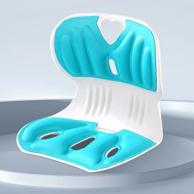 Ergonomic Chair Back Support, Lumbar Support for Good Posture Correction and Back Pain Relief, Perfect for Office Chair, Floor Seat, and Work from Home